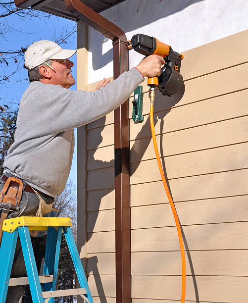 Best Custom Trim and Detailing for Siding  in Ravenswood, WV